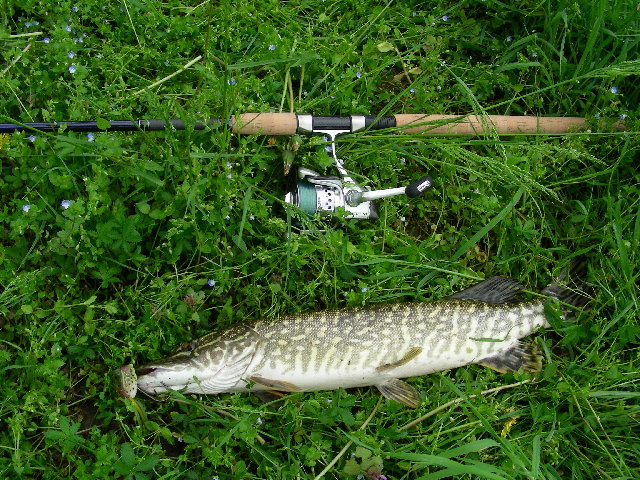 DSCN3857.JPG