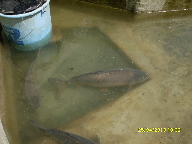 SDC11192.JPG