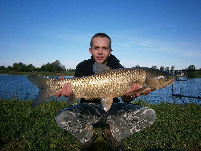5kg.JPG