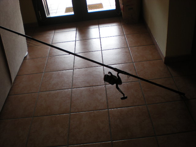 DSCN8674.JPG