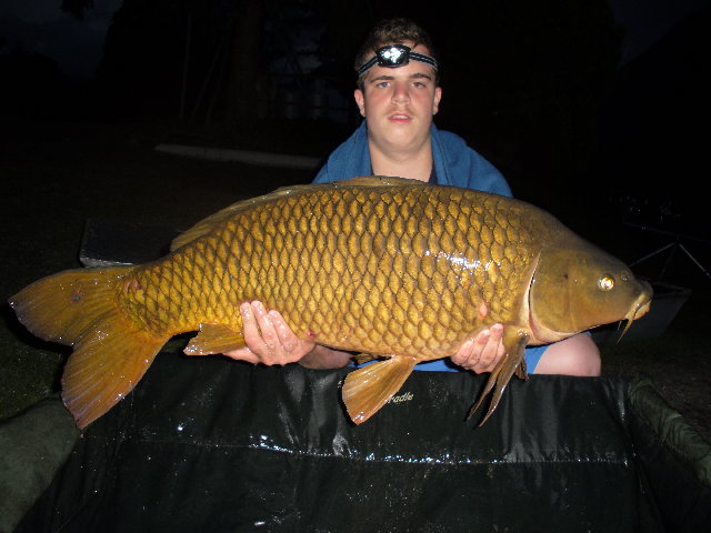 SAM_3105.JPG