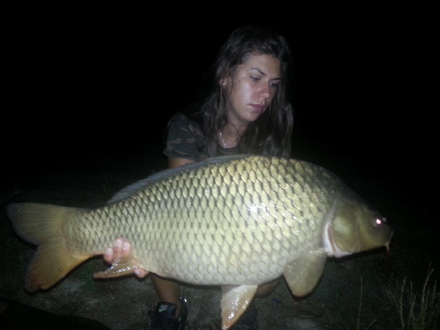 9kg.jpg