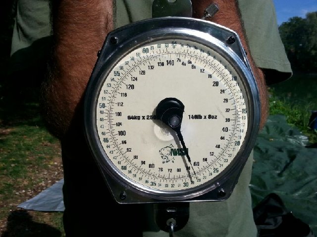 IMG-20130920-WA0008.jpg