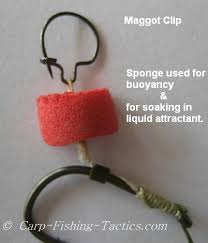 maggot clip.png