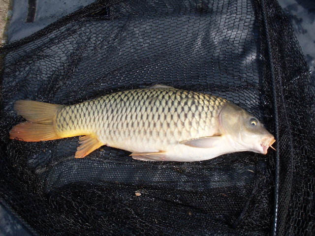 SDC11357.JPG