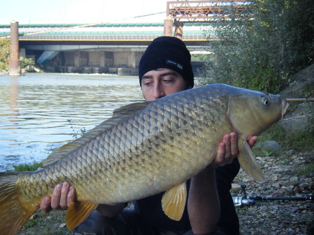 DSCF0354.JPG