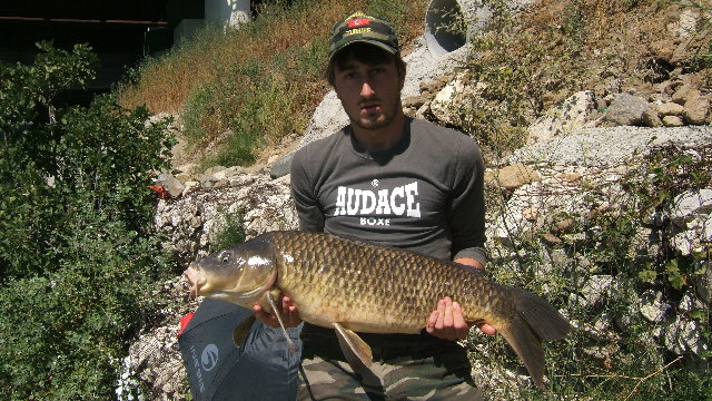 12 kg.JPG