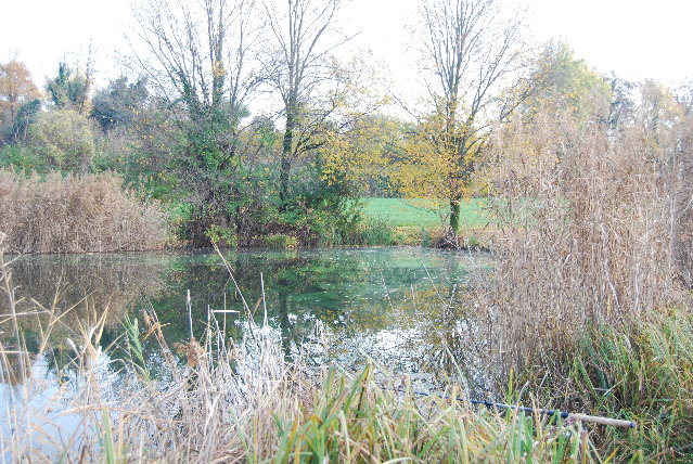 DSC_0610.JPG (2.35 MiB) Visto 8522 volte DSC_0610.JPG