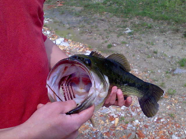 25-04....2.2x53.jpg