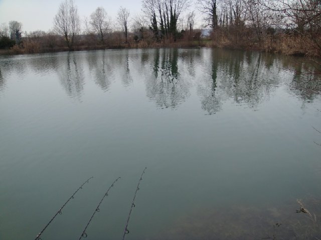 015ridotta.jpg (99.41 KiB) Visto 3280 volte 015ridotta.jpg