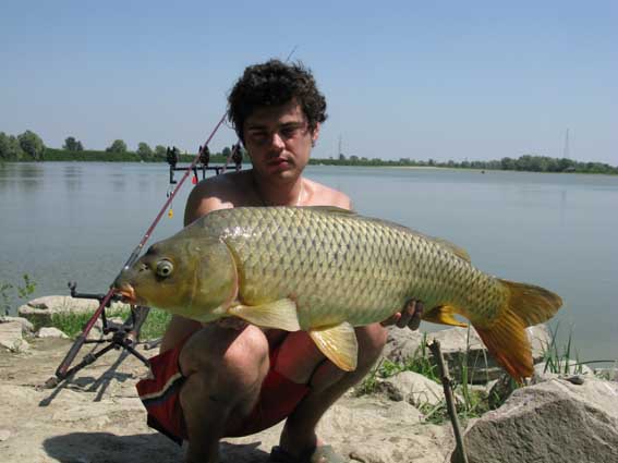 Po6.jpg
