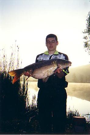 Fimon01.JPG