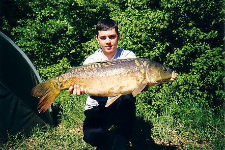 Fimon04.JPG