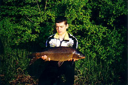 Fimon07.JPG