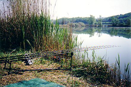 Fimon08.JPG
