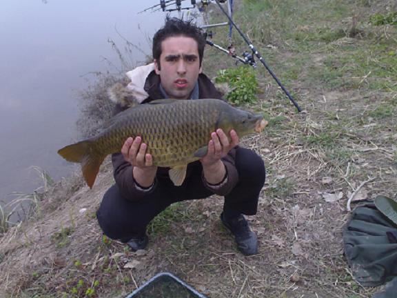 regina 5,5 kg ..JPG