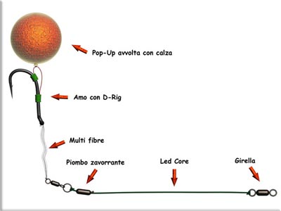 carpfishing.jpg