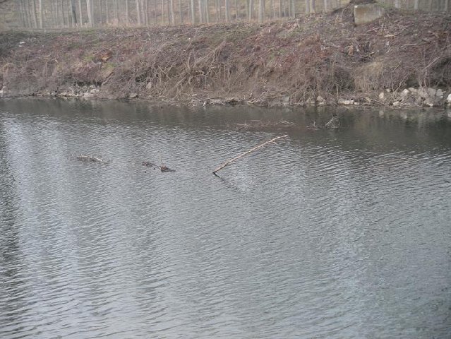 DSCN0244.JPG