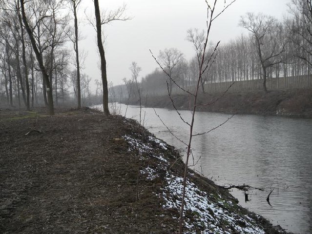 DSCN0245.JPG