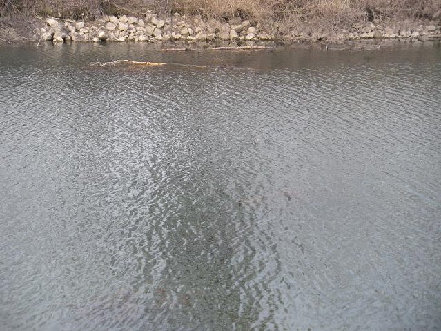DSCN0247.JPG
