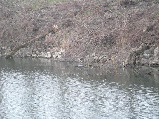 DSCN0254.JPG