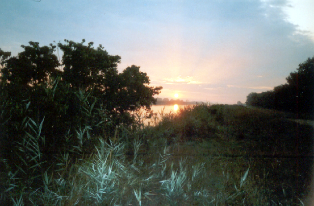 ~lwf0002 Copia.bmp
