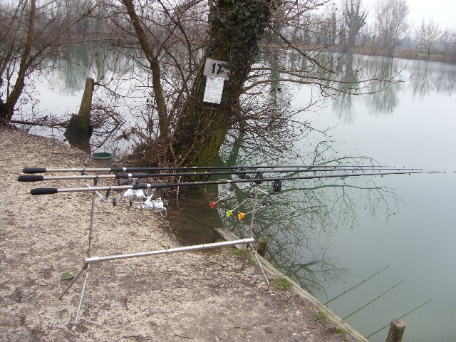 SDC10094.JPG