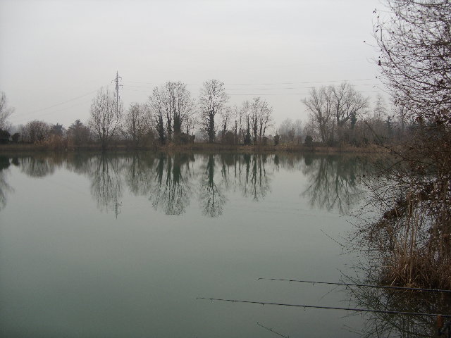 SDC10095.JPG