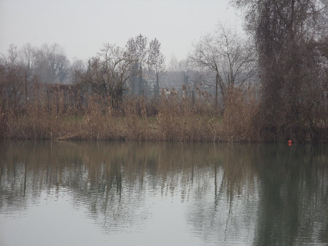 SDC10107.JPG