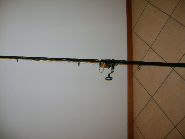 canne 005.jpg