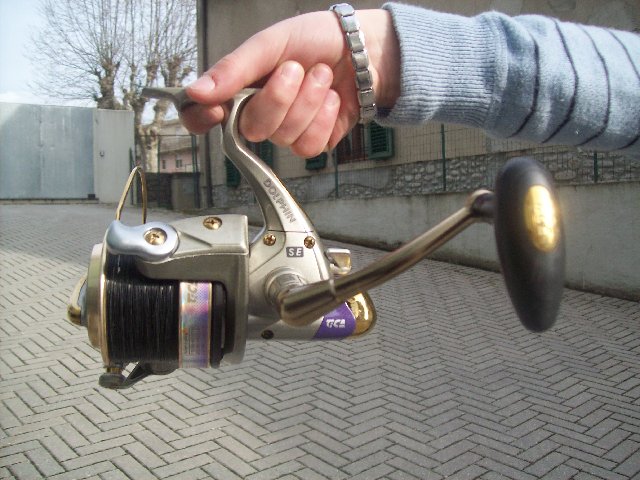 100_2929.JPG