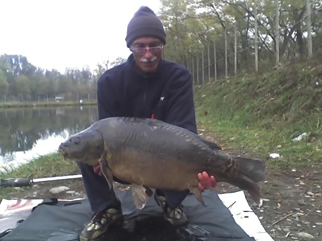 05-11-09carpa.jpg