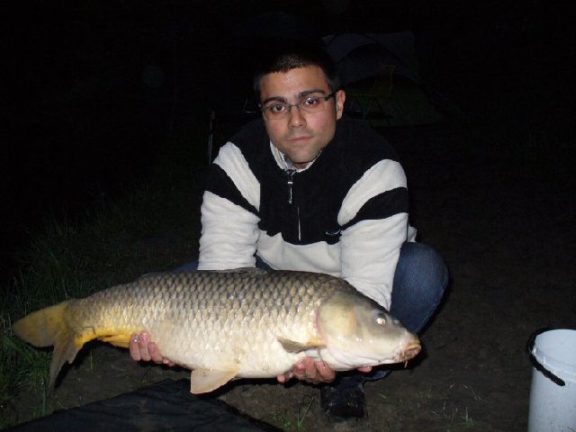 fabio regina 6.5kg.jpg