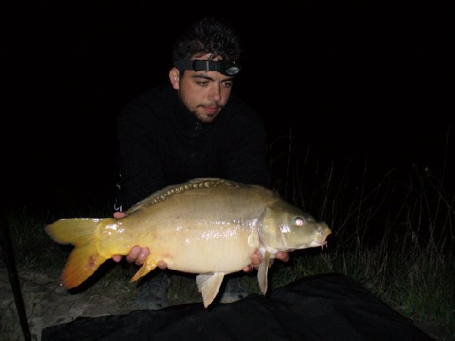 specchi 5.5kg.jpg