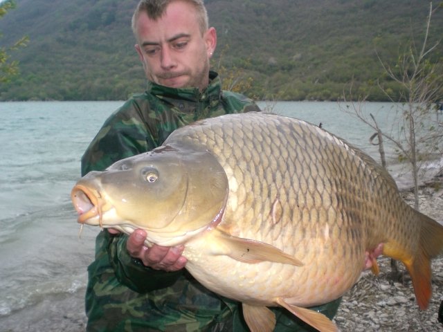 CIMG6106.JPG