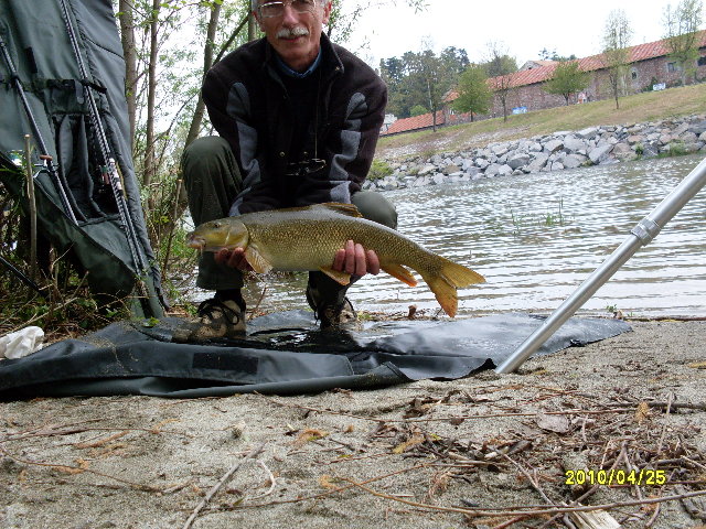SDC10321.JPG