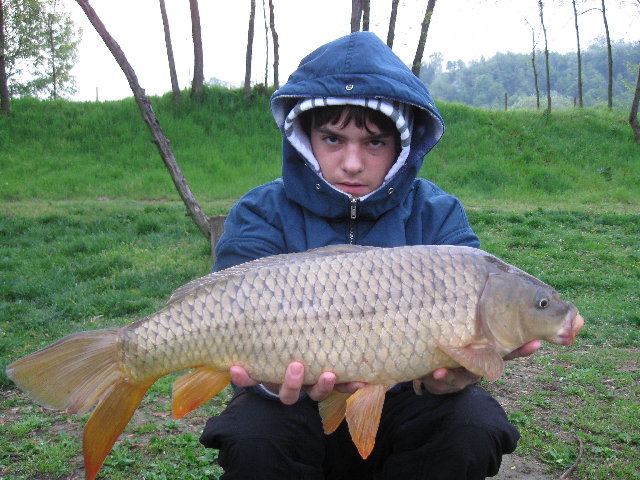 Immagine 137.jpg
