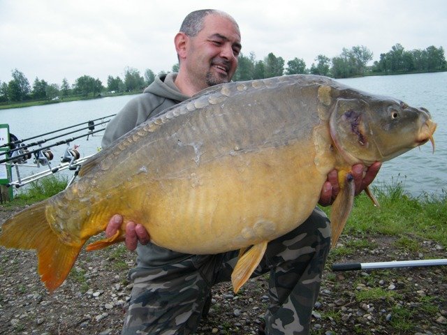 DSCF1479.JPG