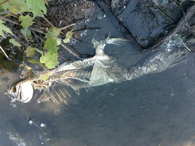 22052010343.jpg