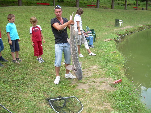 DSCN0203.JPG