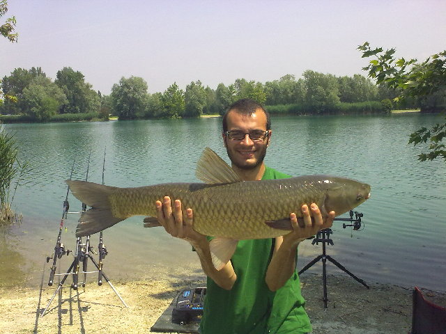 08062010055.jpg