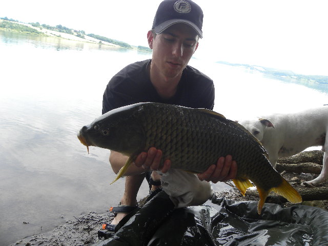 DSCN4528.jpg