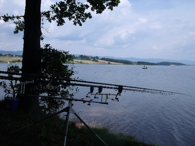 DSCF3101.JPG