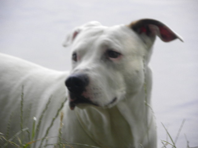 DSCN4522.jpg