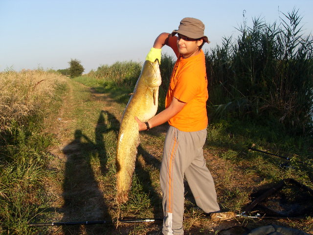 Lorgana - siluro 14 kg - luglio.JPG (1.99 MiB) Visto 3864 volte Lorgana - siluro 14 kg - luglio.JPG