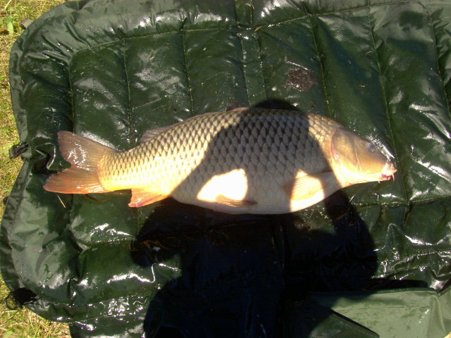 PIC00511.JPG