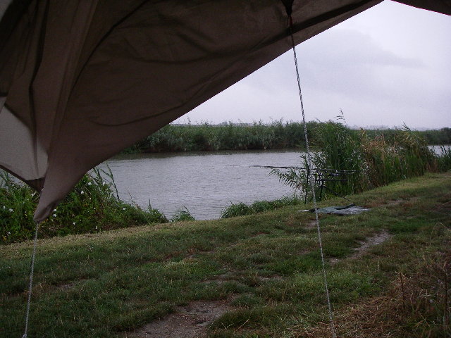 IMGP0007.JPG