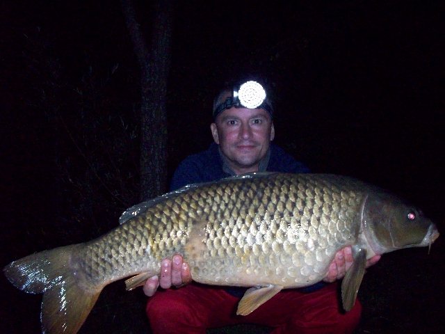 selvatica1pesce.JPG