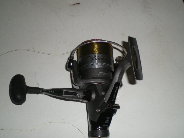 P8310006.JPG