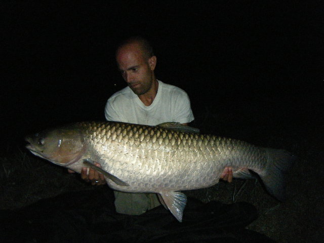 DSCF0226.jpg